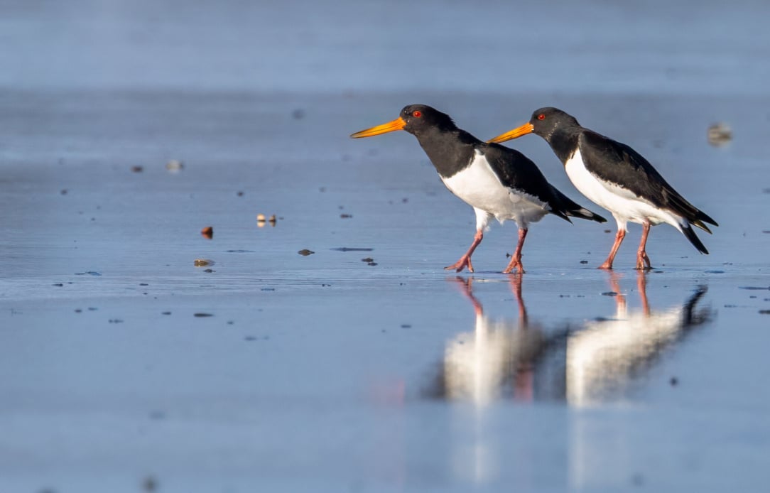 rsz_untitled-12 (36).jpg