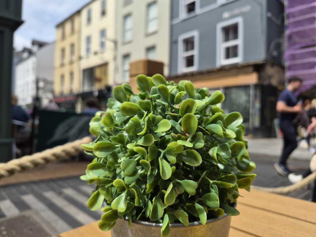 20260617_131445_Original.jpeg