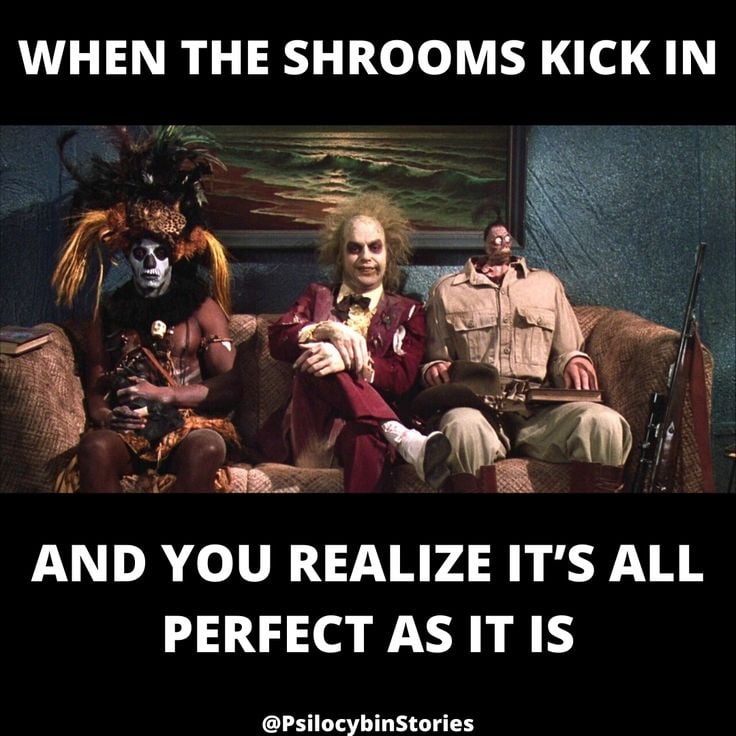 55786df2afccf0ecda8bac619f4e03b7.jpg