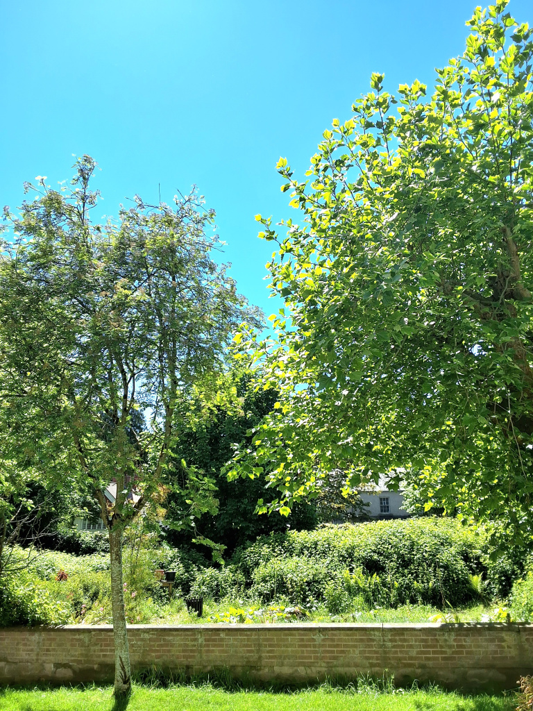 20260524_132528.jpg