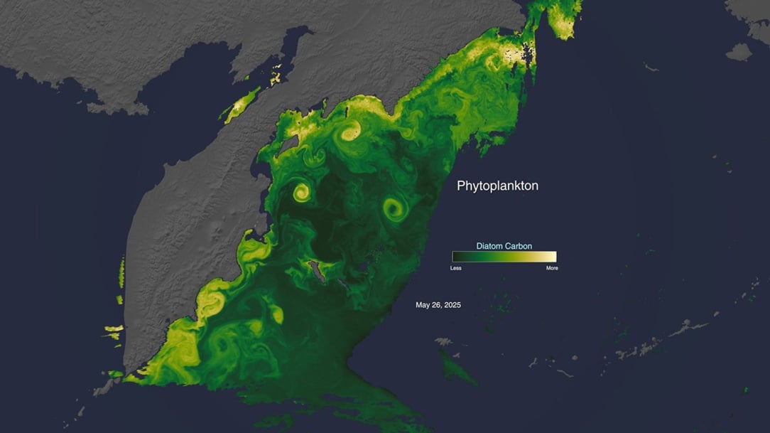 pace_tour_05_phytoplankton-hero.jpg