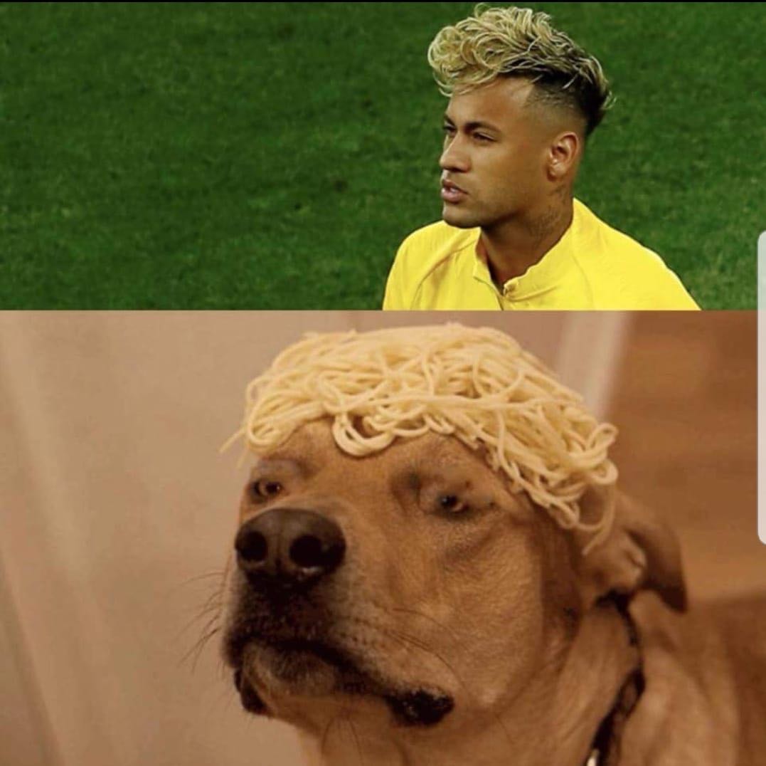 453669.jpg