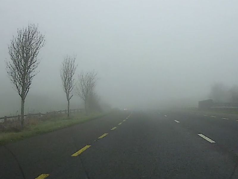 298744.jpg