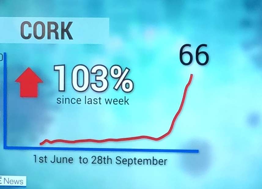 527752.jpg