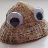 HappyLimpet
