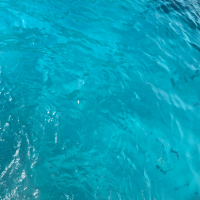 BergholtStuttleyJohnson