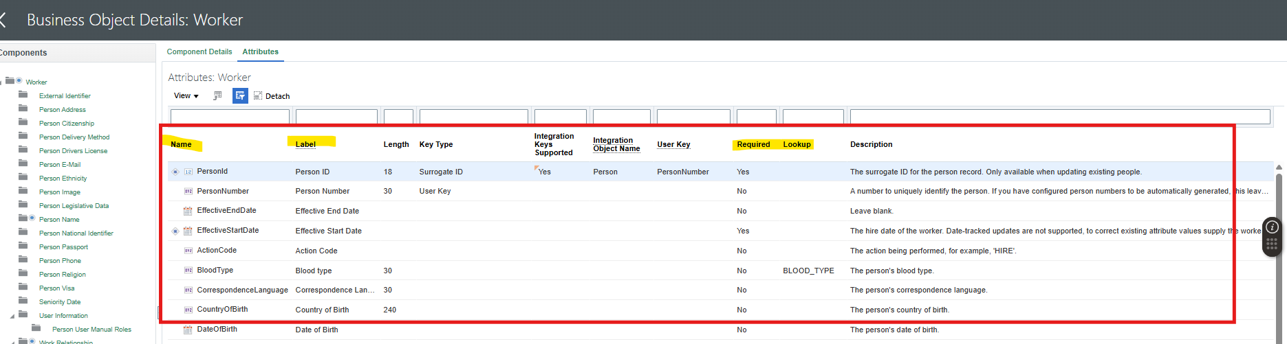 Need a sample SQL for HDL Business Object Details Report — Cloud ...