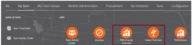 Career and Performance Overview Profile Options — Cloud Customer Connect