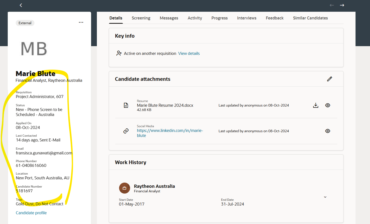 Custom view for job application details page — Cloud Customer Connect