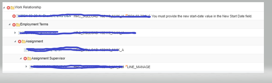 HDL Error in Termination CWK and creating Nonworker — Cloud Customer ...
