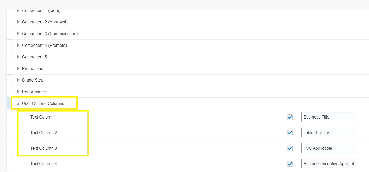 Backend table for user defined columns in Workforce compensation ...