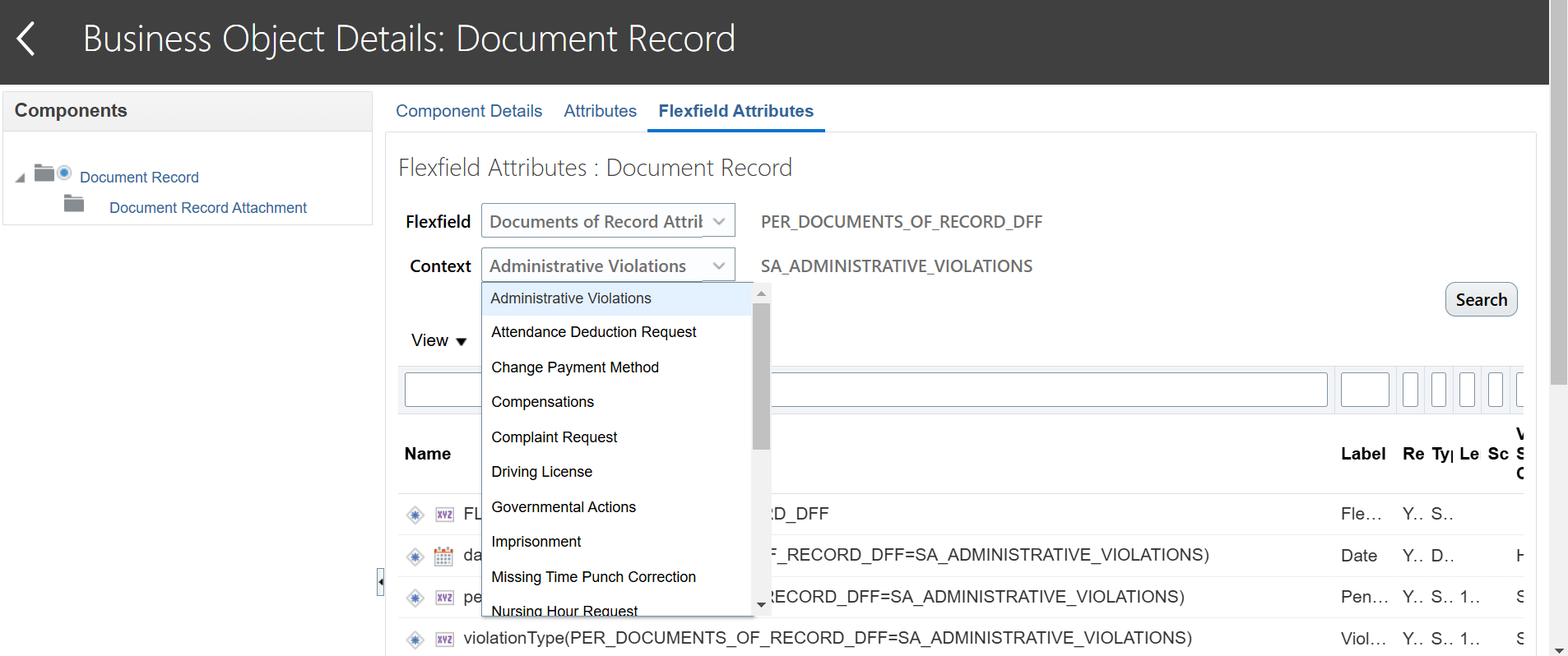 I Create a new ddf but not showing in flexfield attributes — Cloud ...