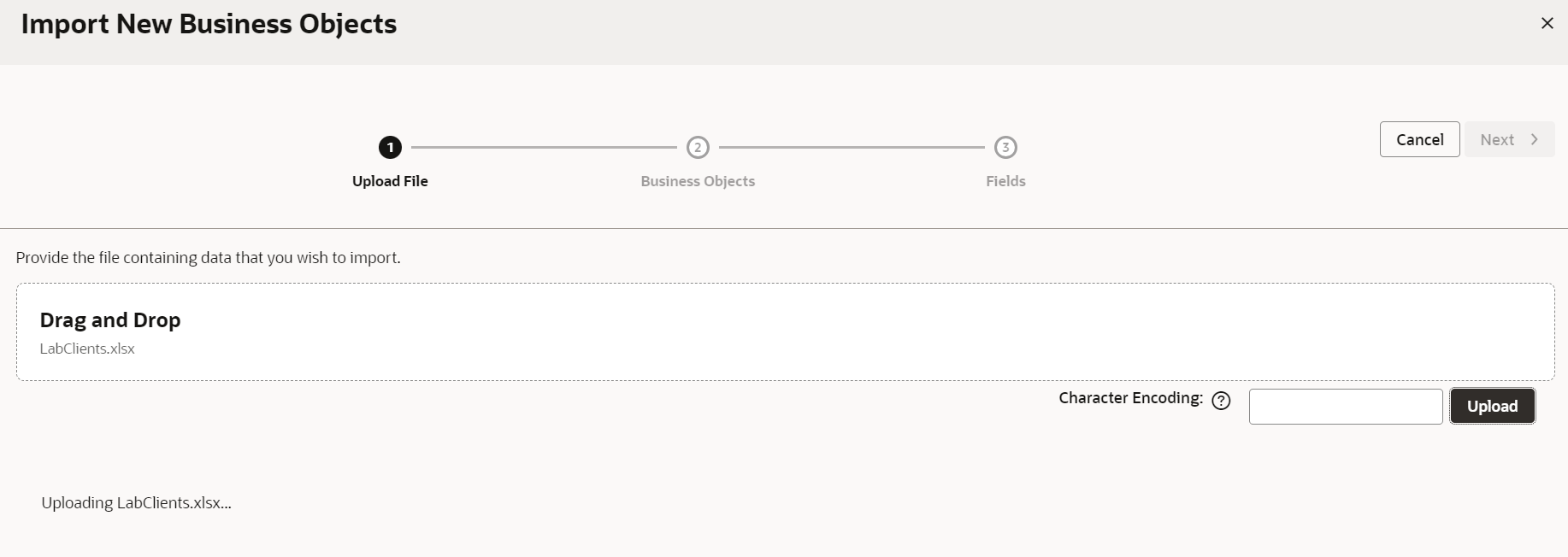 Unable to import business objects — Cloud Customer Connect