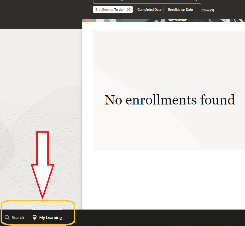Can we make the Search and My Learning more prominent using VBS ...