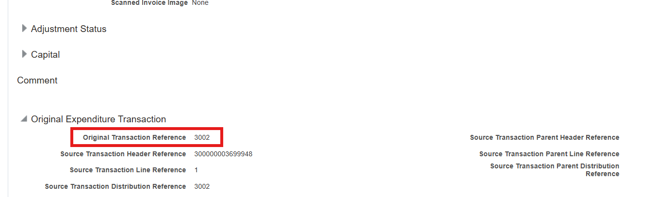Original Transaction Reference significance in Oracle Project Costing ...