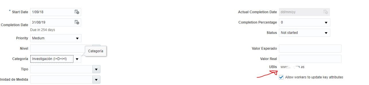 URL Link on a Descriptive FlexField — Cloud Customer Connect