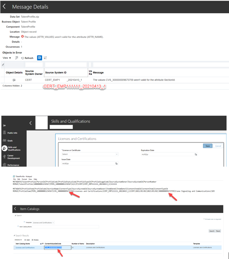 Error when loading HDL for License and Certifications — Cloud Customer ...
