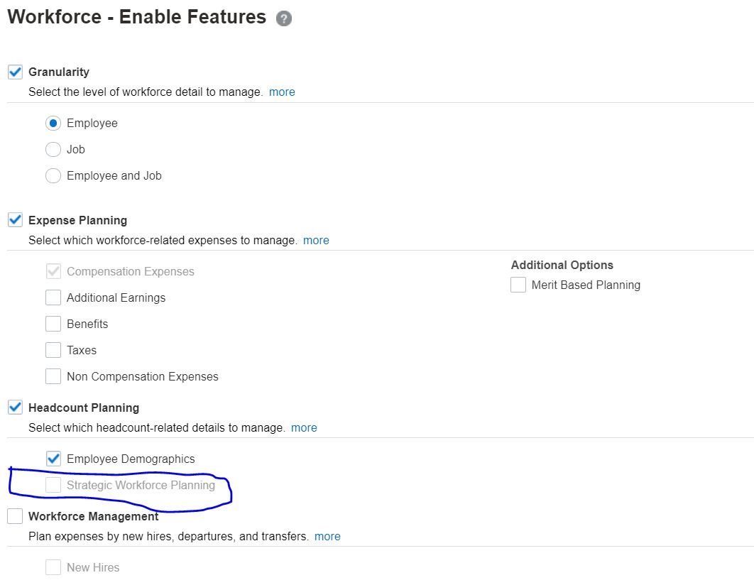 Strategic Workforce Planning (SWP)feature in Workforce module — Cloud ...