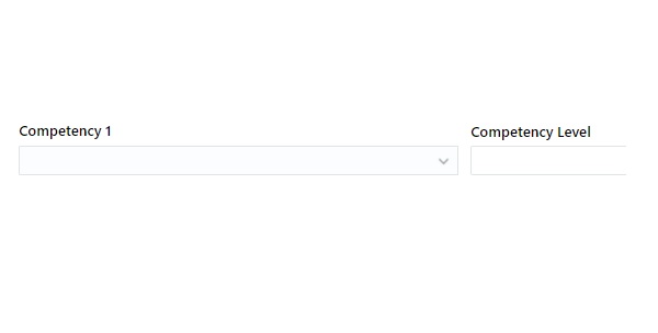 Descriptive Flexfields next to each other — Cloud Customer Connect