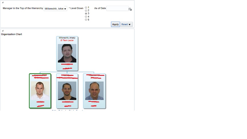 Organization Chart with Persons Images — Cloud Customer Connect