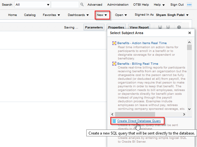 Create Direct Database Query Option Re-Enable in 19A — Cloud Customer ...