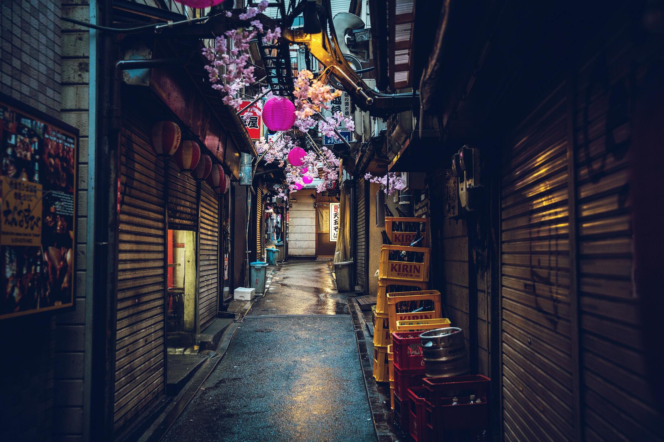 Beautiful and dark alley