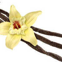 System= .@-[]":;*+~'