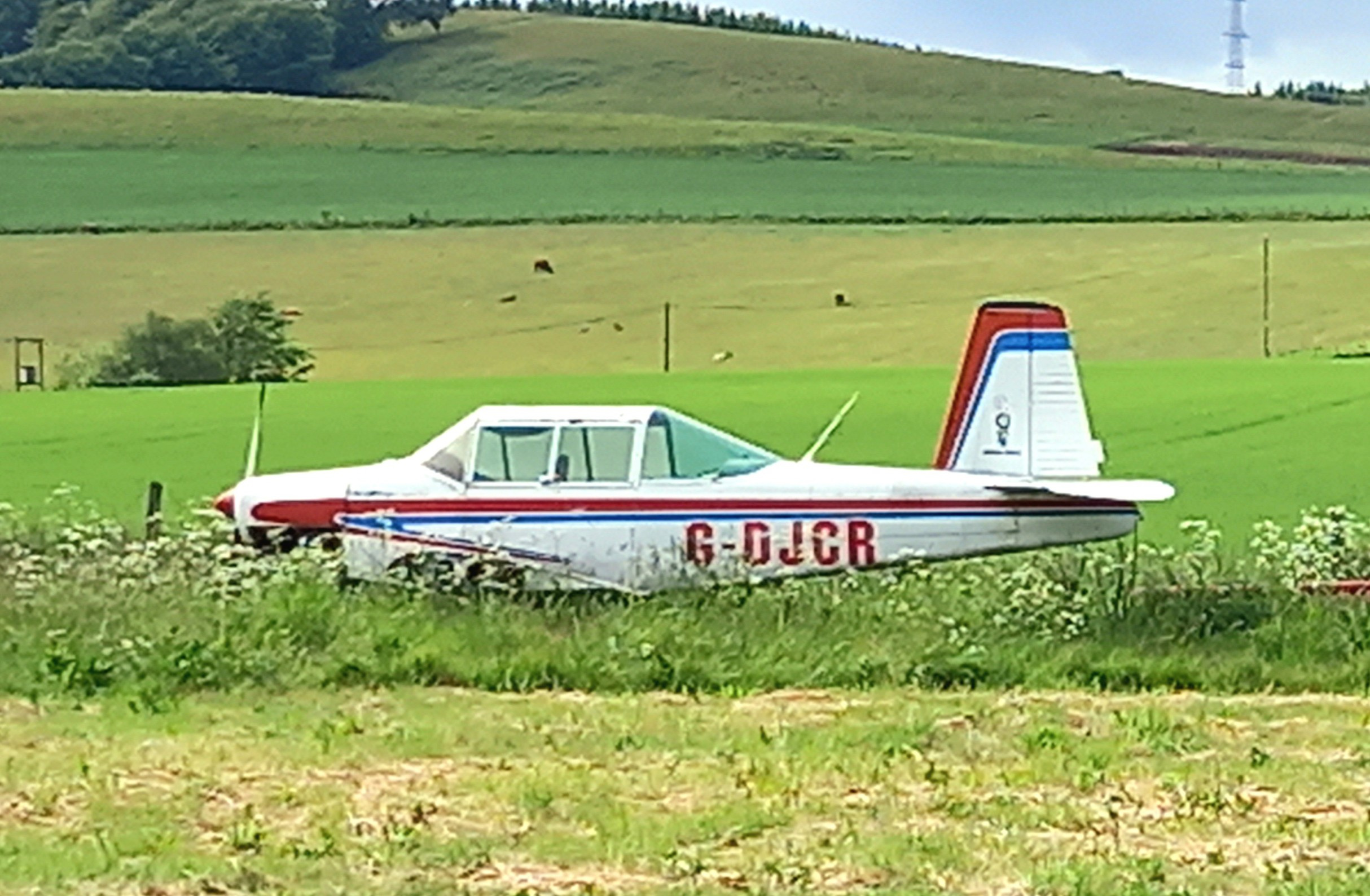 20250601_155358.jpg