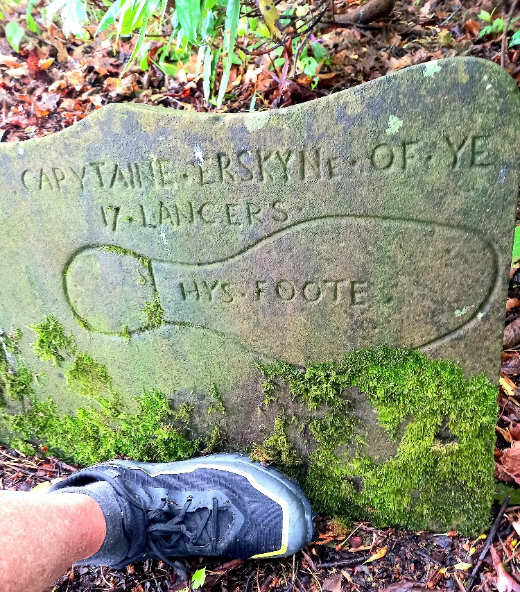 20250531_131425.jpg