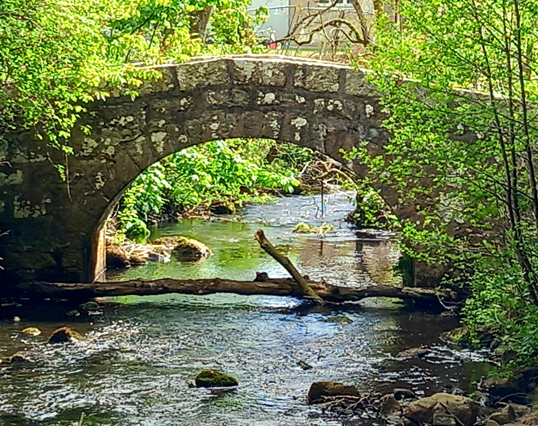 20260515_153258.jpg