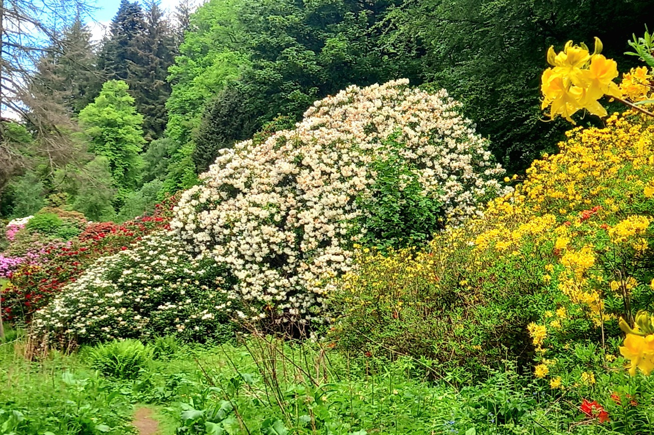 20260531_105817.jpg
