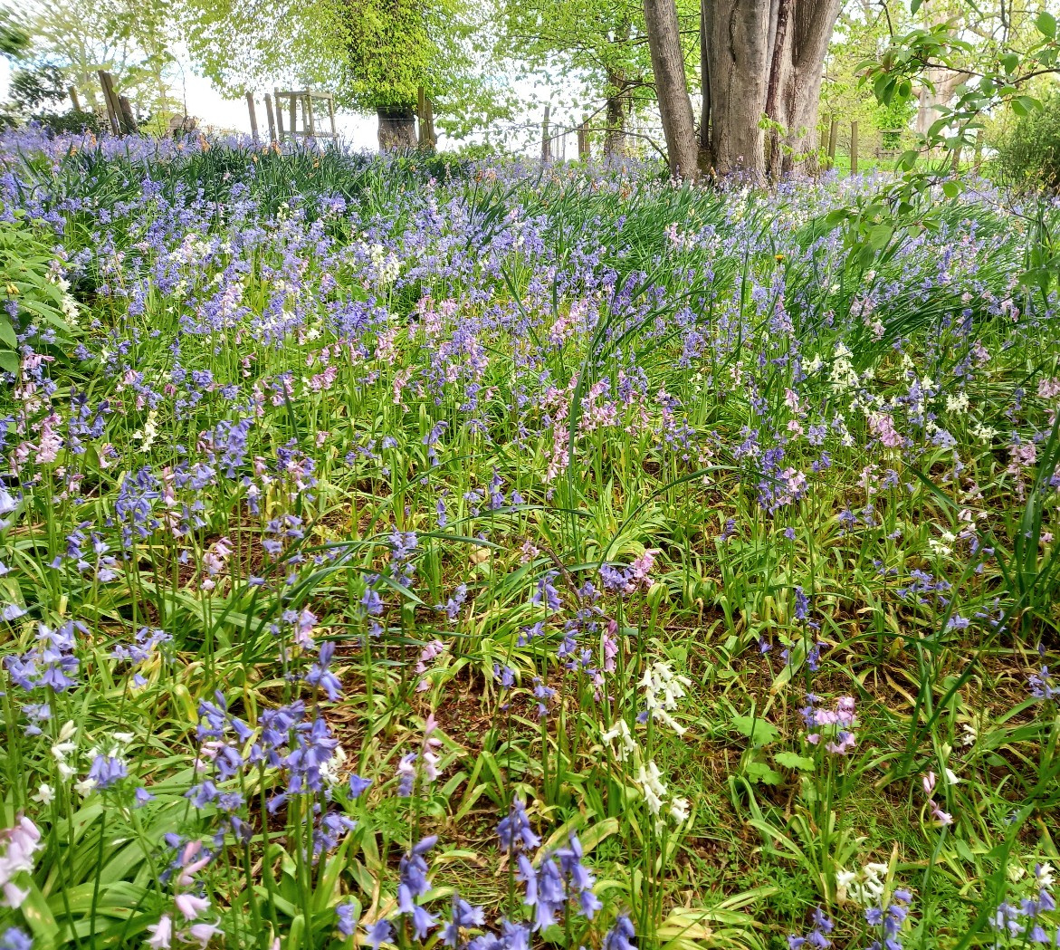 20260516_110656.jpg