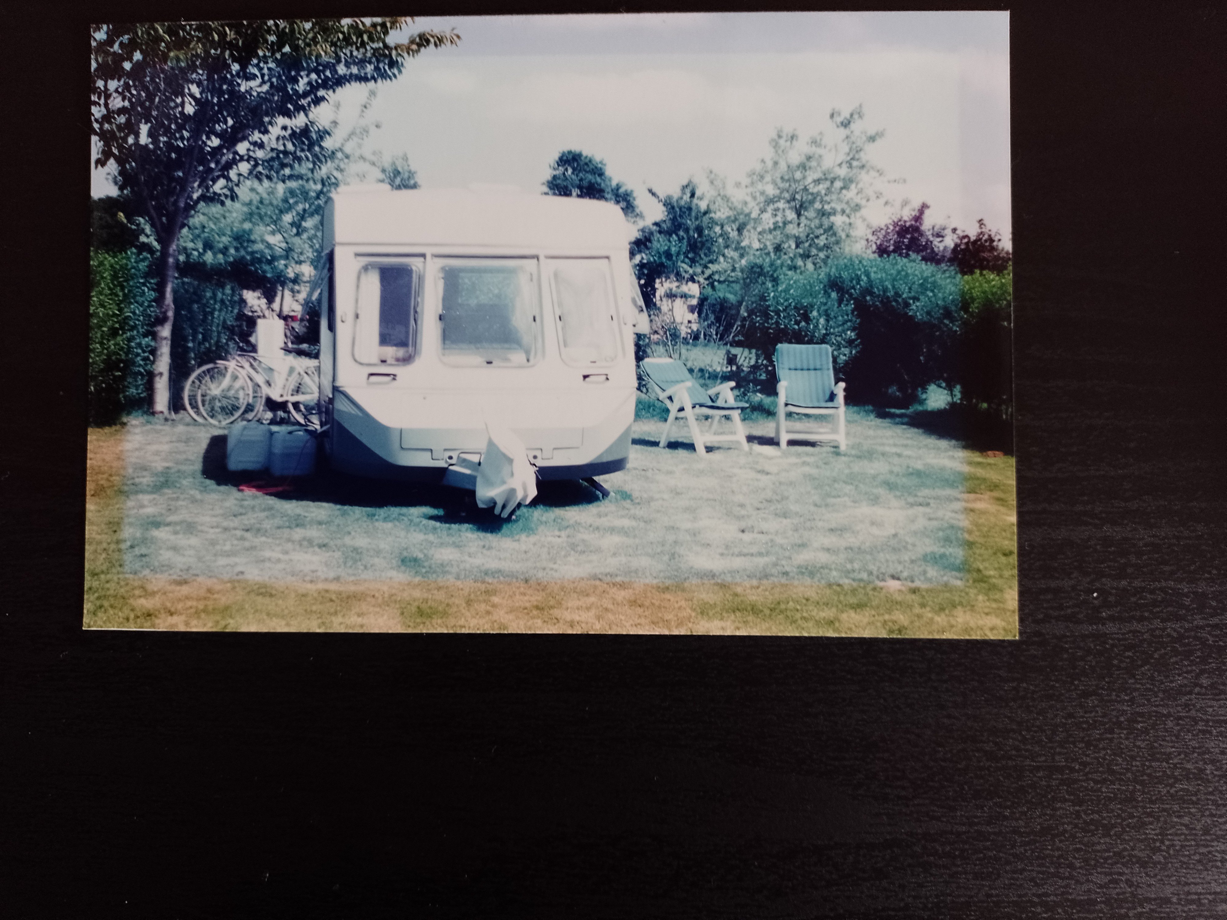 swift silhouette.jpg