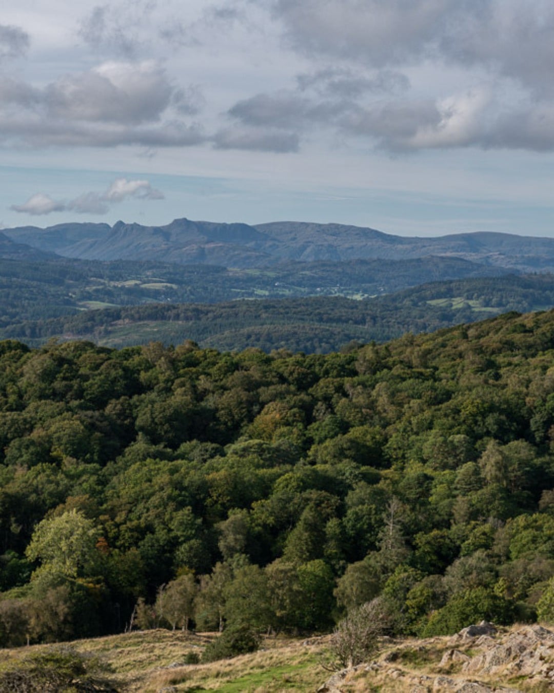 Park Cliffe three.jpg