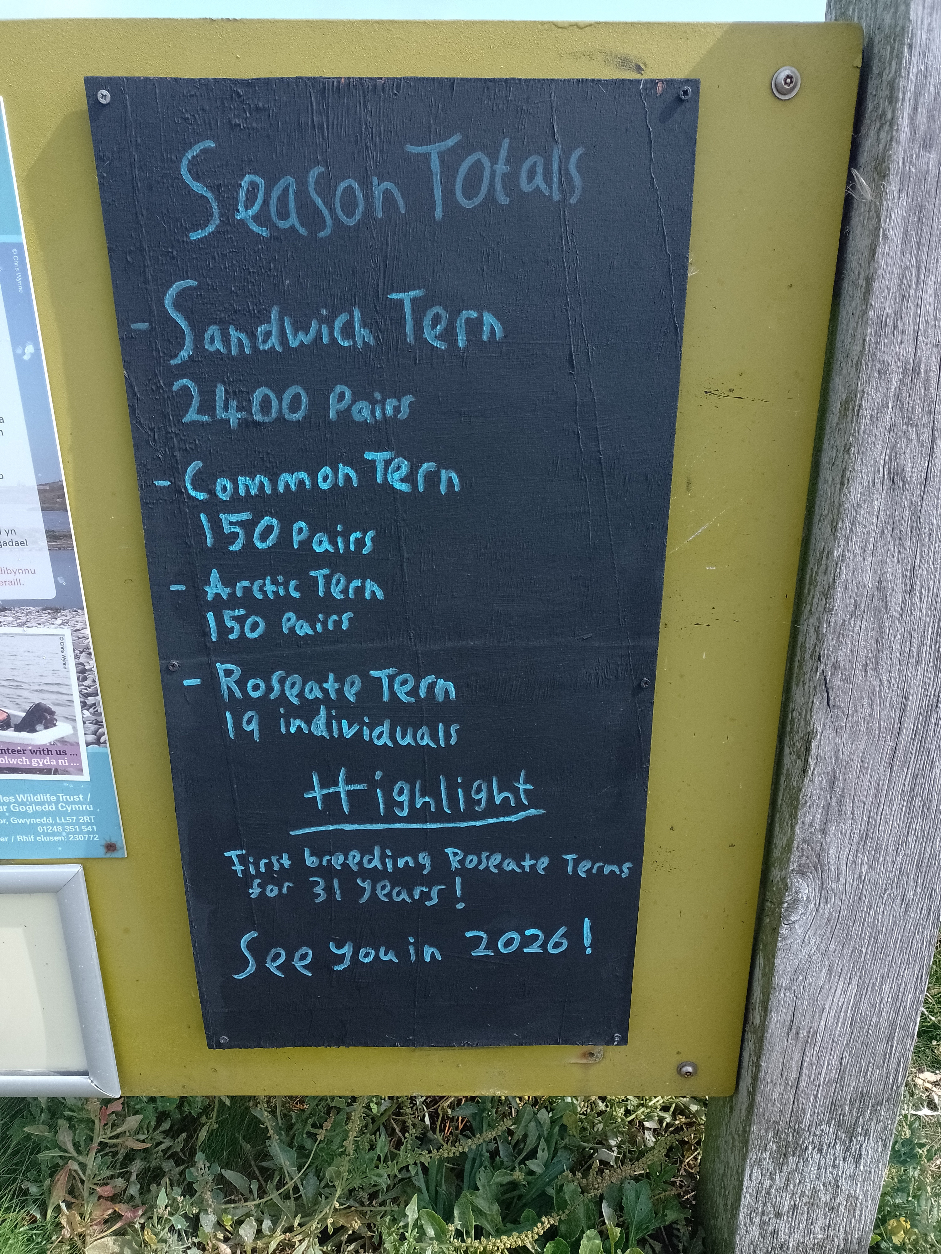 cemlyn bay reserve.jpg