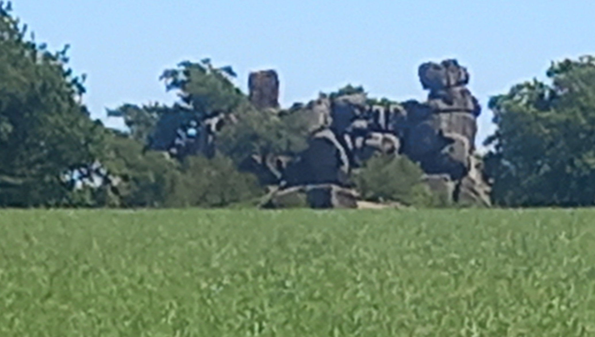 20250711_135958.jpg