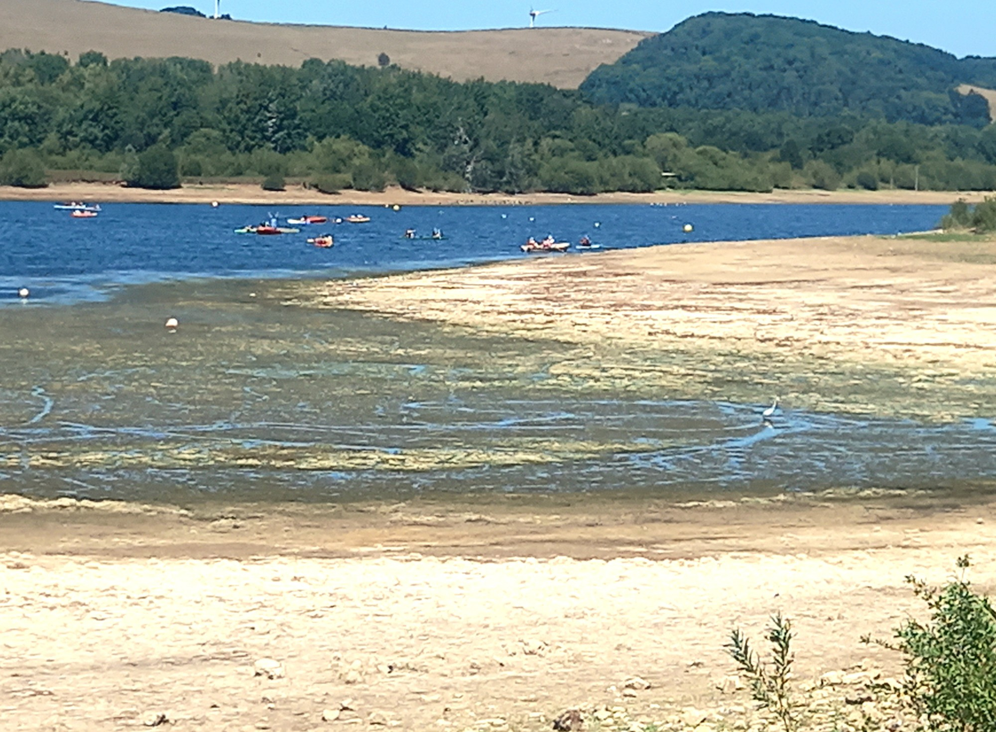 20250712_140117.jpg