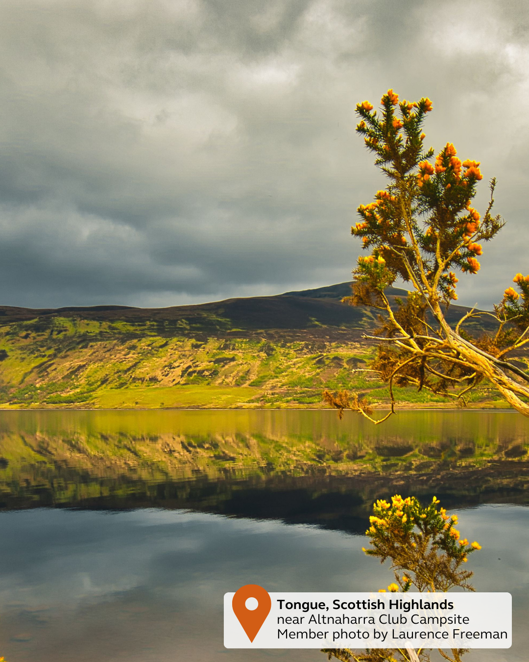 NEW - UGC Pin & Tag (46).png