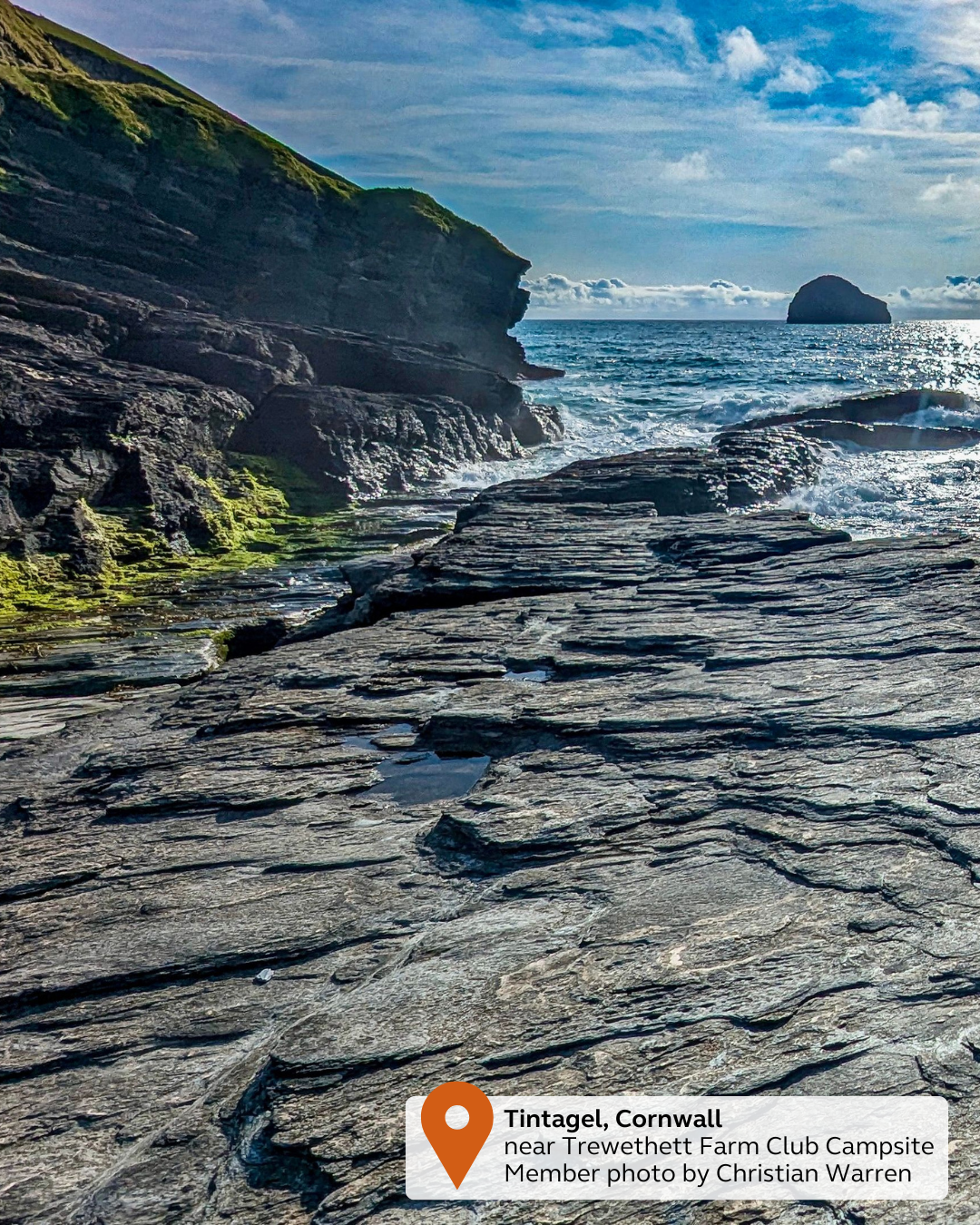 NEW - UGC Pin & Tag (43).png