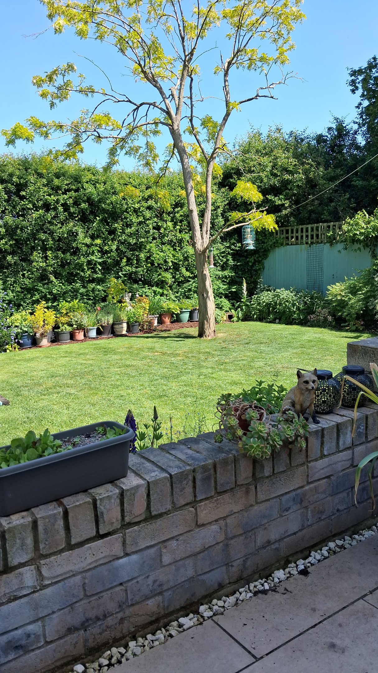 IMG-20260525-WA0002.jpeg