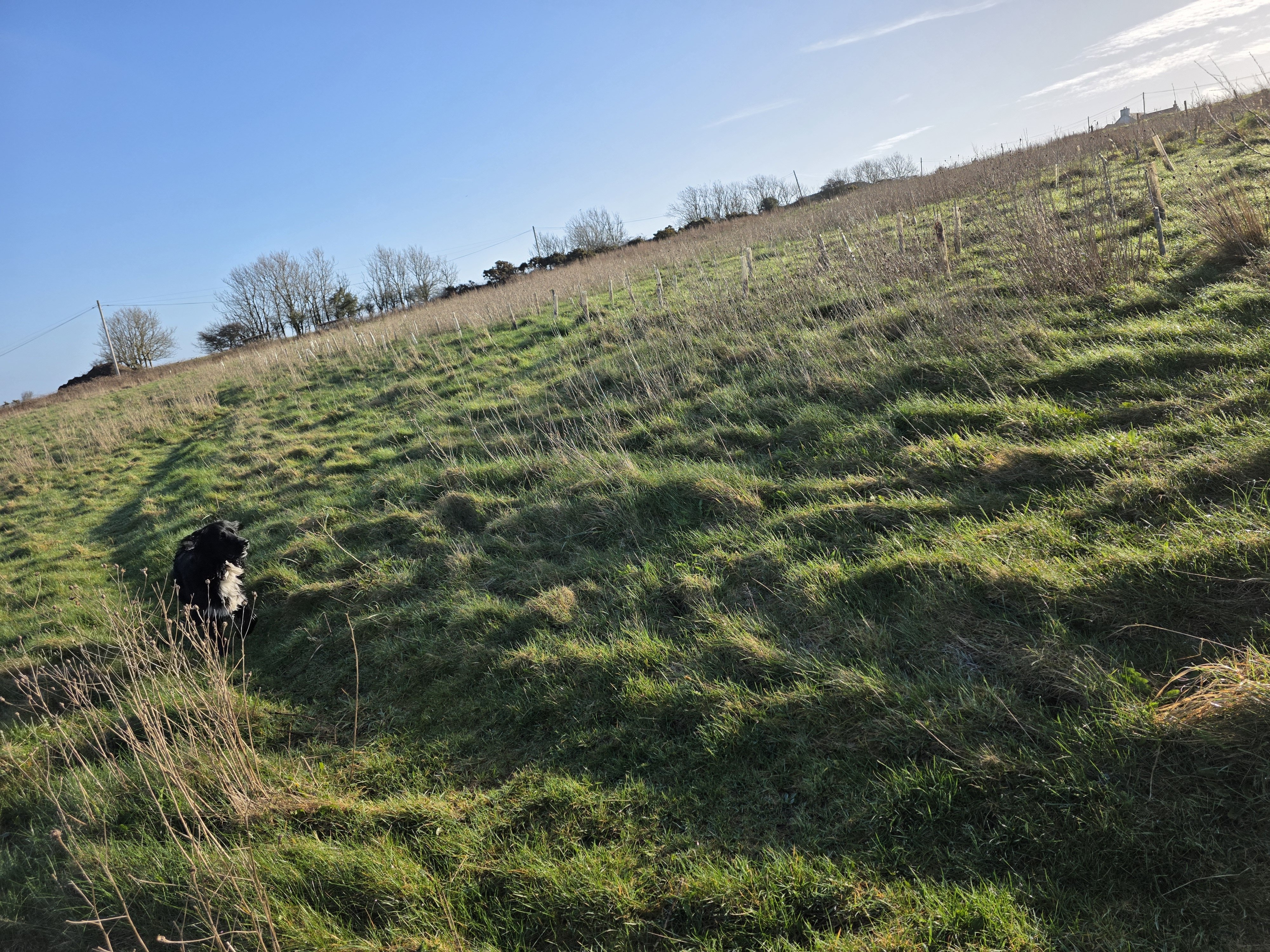 Bottom field photo 1.jpg