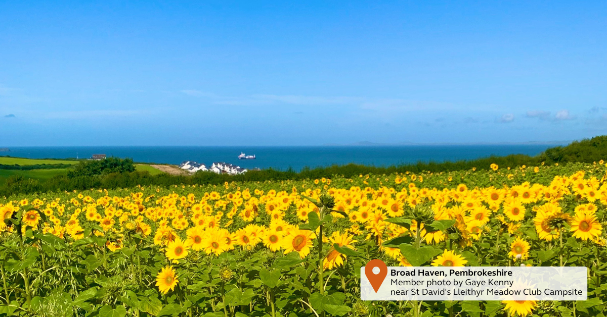 UK Club campsite this August.png