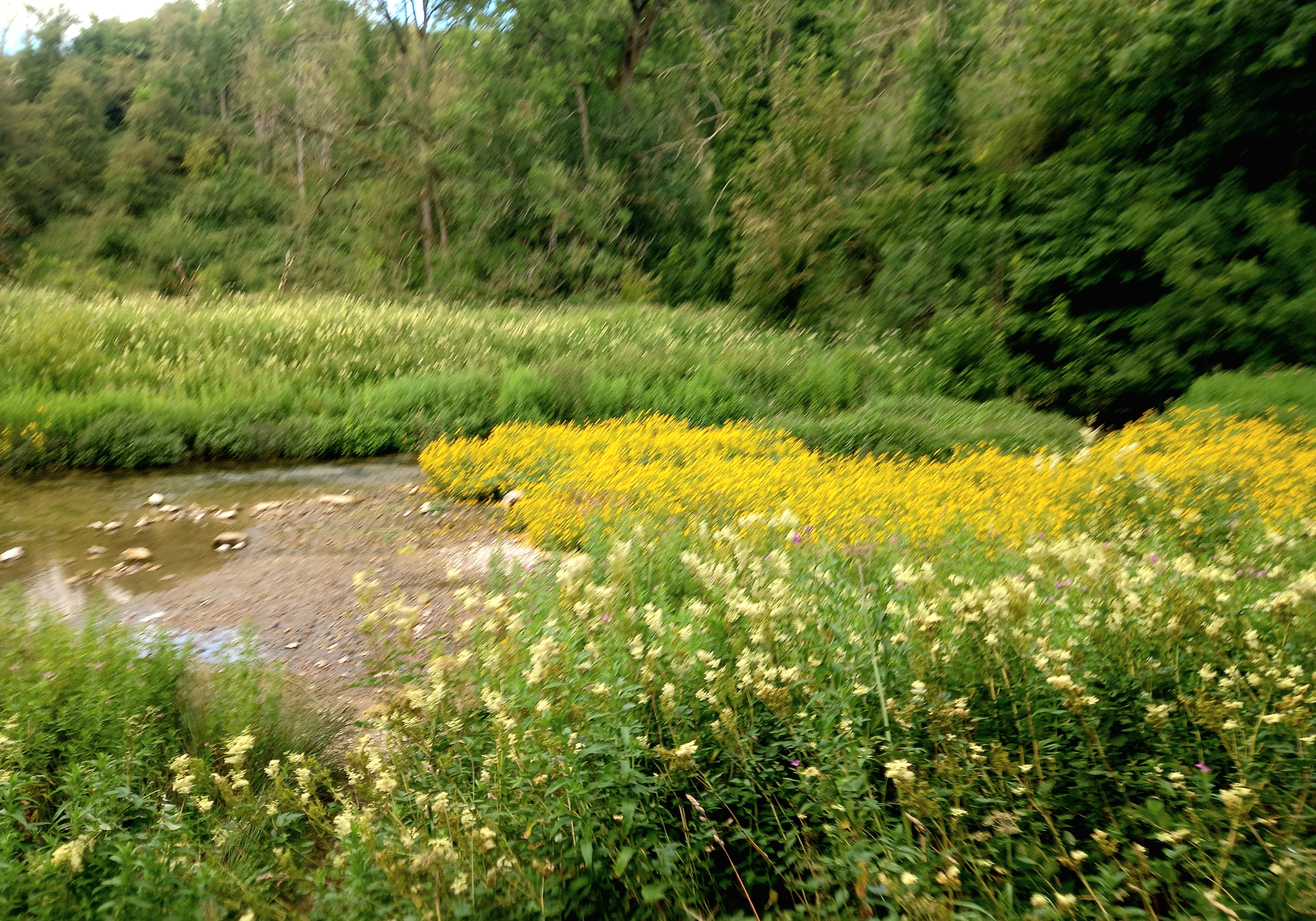 20250709_105022.jpg