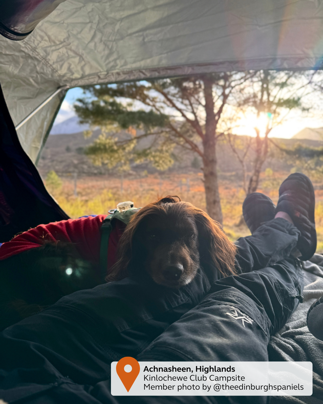 Achnasheen, Highlands Kinlochewe Club Campsite Member photo by @theedinburghspaniels (1).png