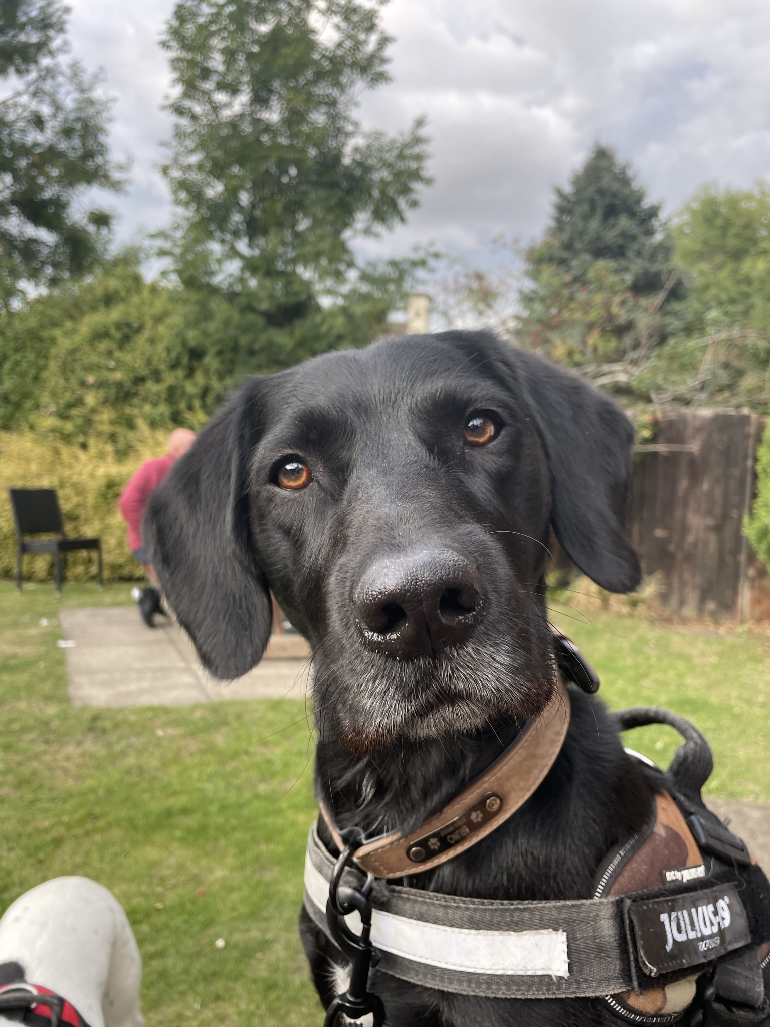 ScreenNameFF0CAB66FB