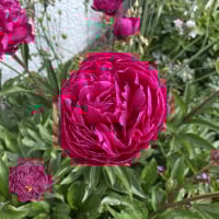 ScreenName2EF416D4BE