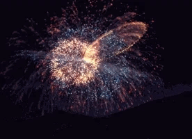 2007.gif