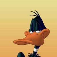 Photo of daffy
