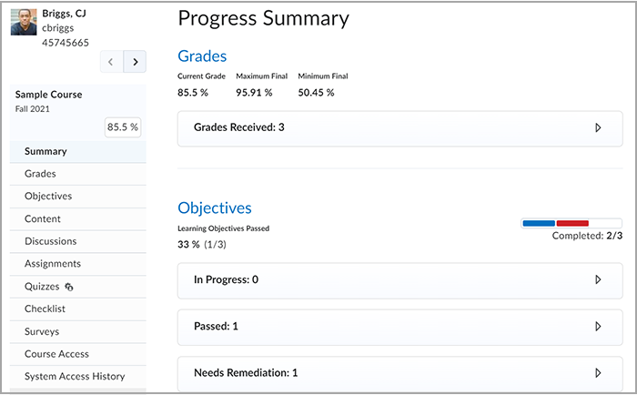 A learner's Progress Summary.