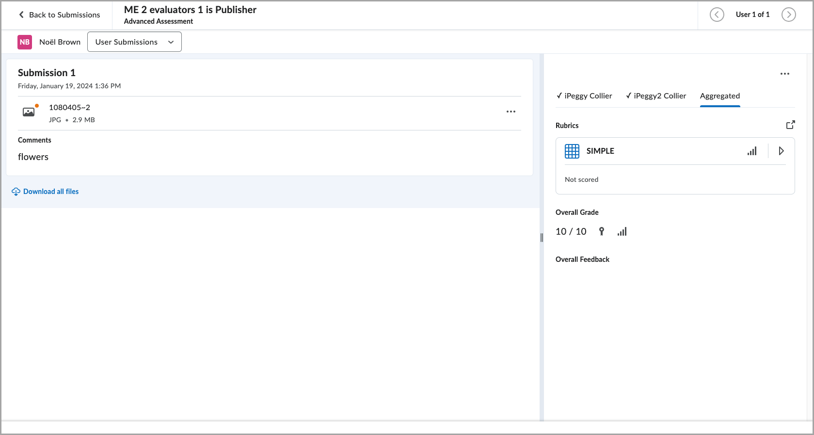 Evaluation interface showing a submission. The submission includes an image file and a comment. The interface displays the rubric, overall grade (10/10), and overall feedback section. The Aggregated tab is selected, indicating evaluations from multiple evaluators. Options include downloading all files